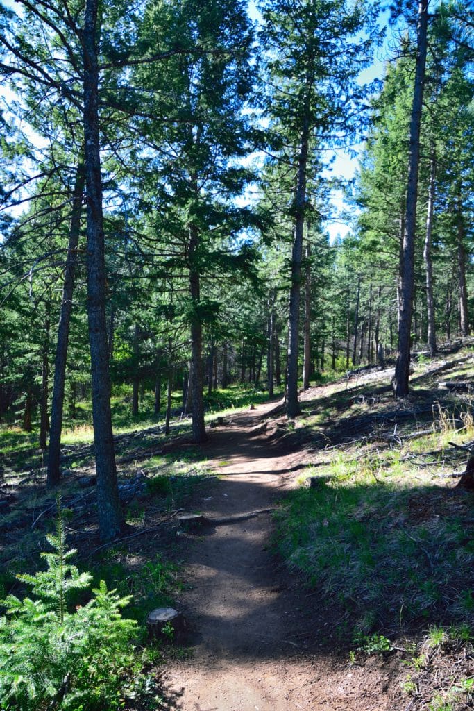 What Does Rt Mean >> Beaver Brook & Chavez Trail Loop - Virtual Sherpa What Does Rt Mean >> Beaver Brook & Chavez Trail Loop - Virtual Sherpa
