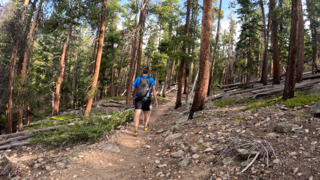 Mt Yale East Ridge Approach