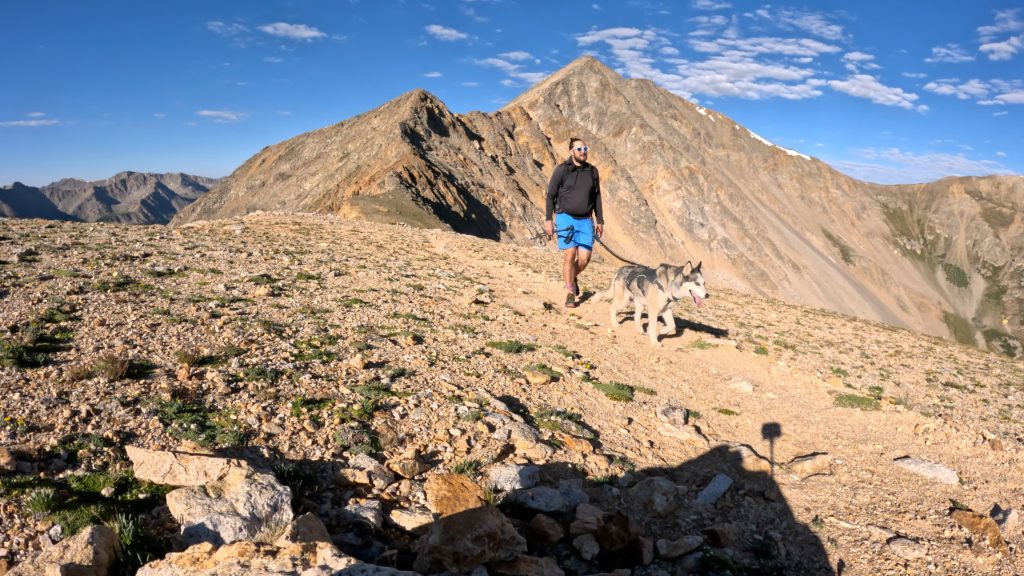 Hiker and husky traversing the Southwest Ridge of La Plata Peak with the summit rising behind them.