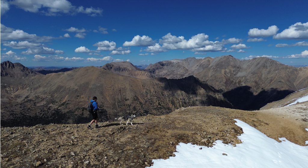 Hiker and dog traversing the upper slopes of French Mountain with expansive views of the Sawatch Range in Colorado