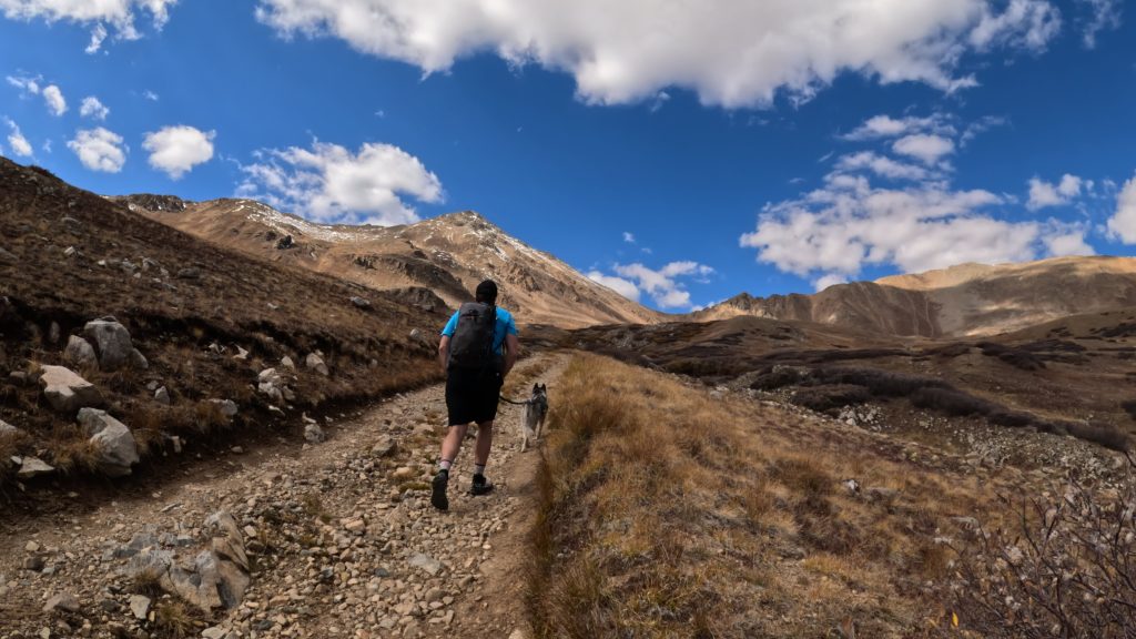 Hiker and dog following the 4x4 road approach toward French Mountain near Halfmoon Creek