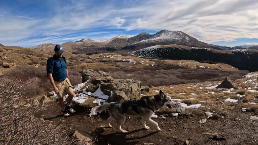 Hiker and dog on the Square Top Mountain trail with Mt Bierstadt rising above the alpine basin.