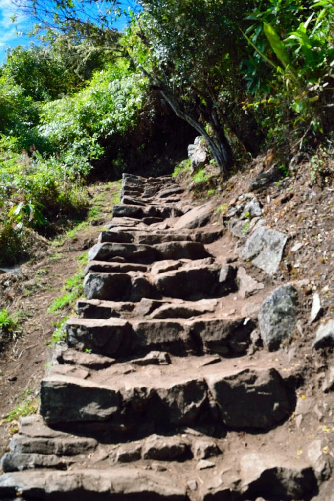 Machu Picchu Mountain Review