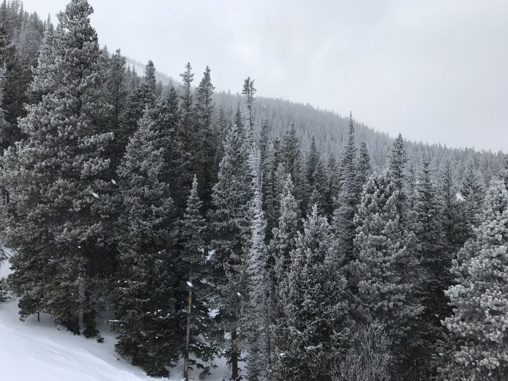 Eldora Mountain Review