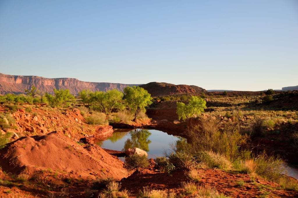 Professor Creek & Mary Jane Canyon Hike Review