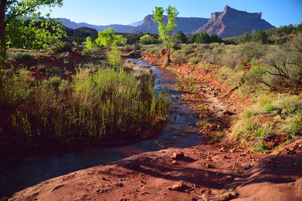 Professor Creek & Mary Jane Canyon Hike Review