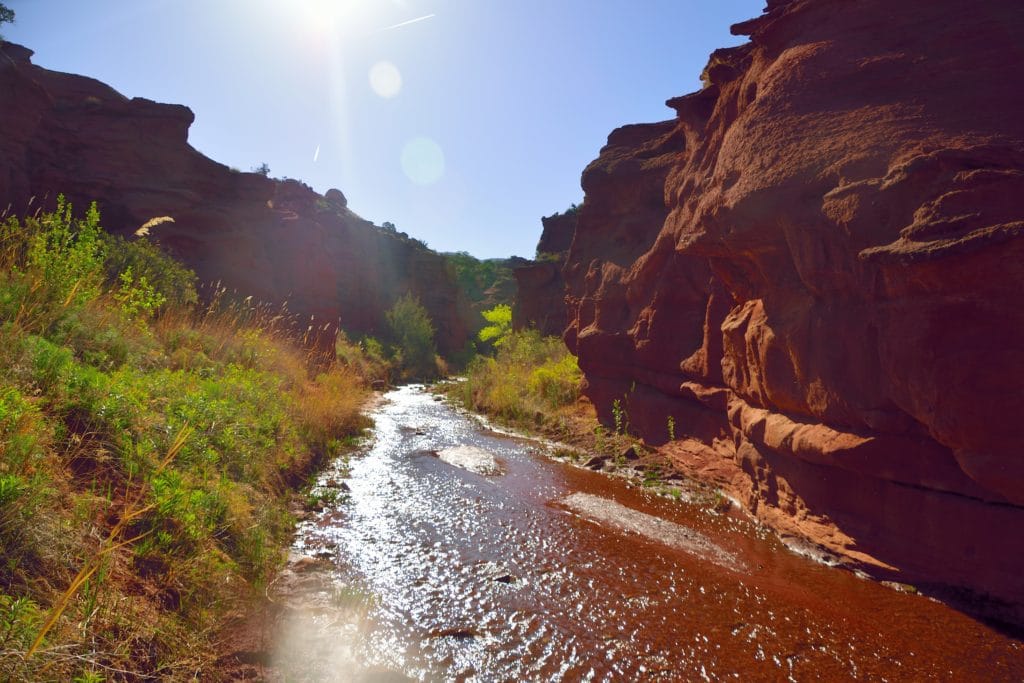 Professor Creek & Mary Jane Canyon Hike Review