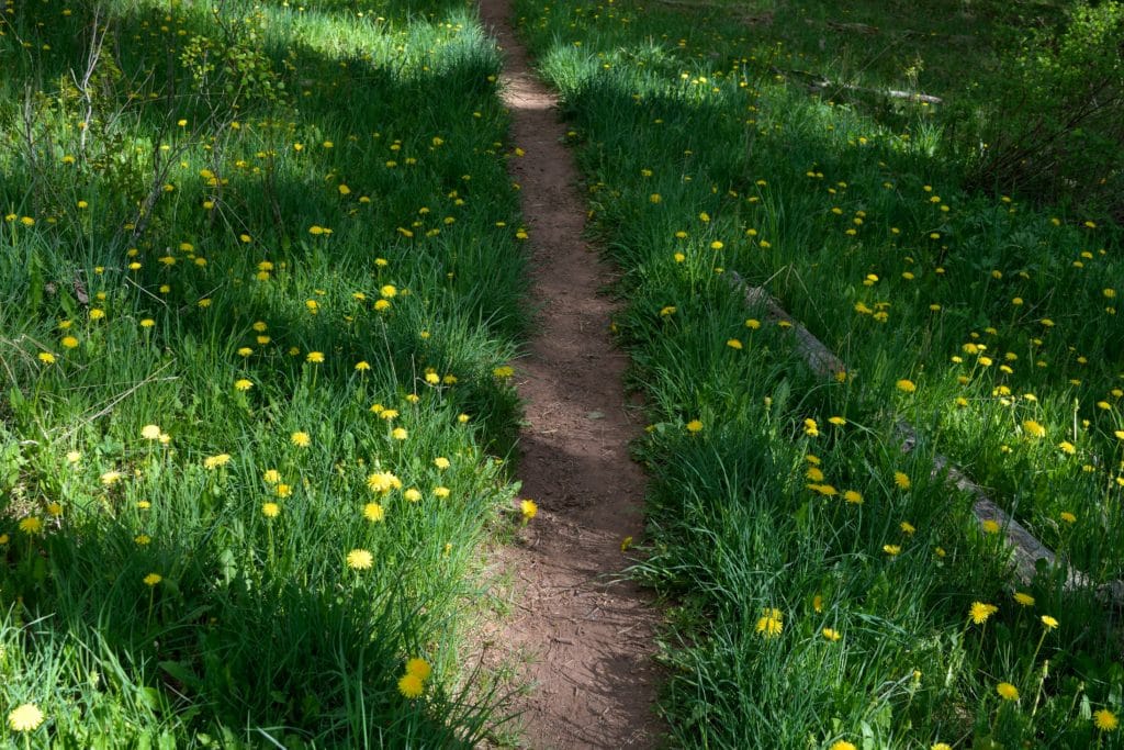 Geyser Spring Colorado Hike Review