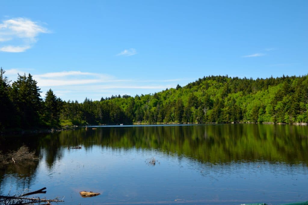 Mount Sunapee NH Hike Review