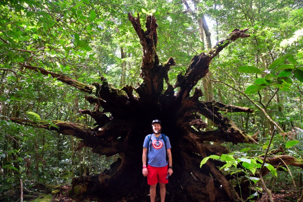 La Cangreja Waterfall Hike Costa Rica