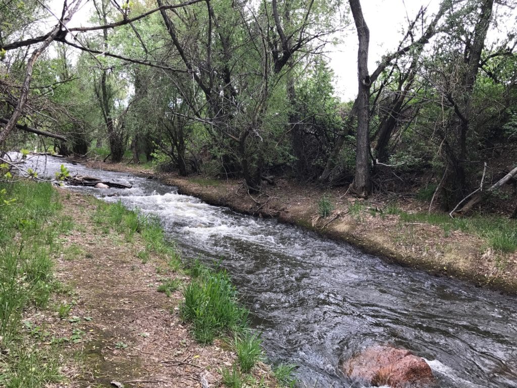 Bear Creek Lake Park Hike Review