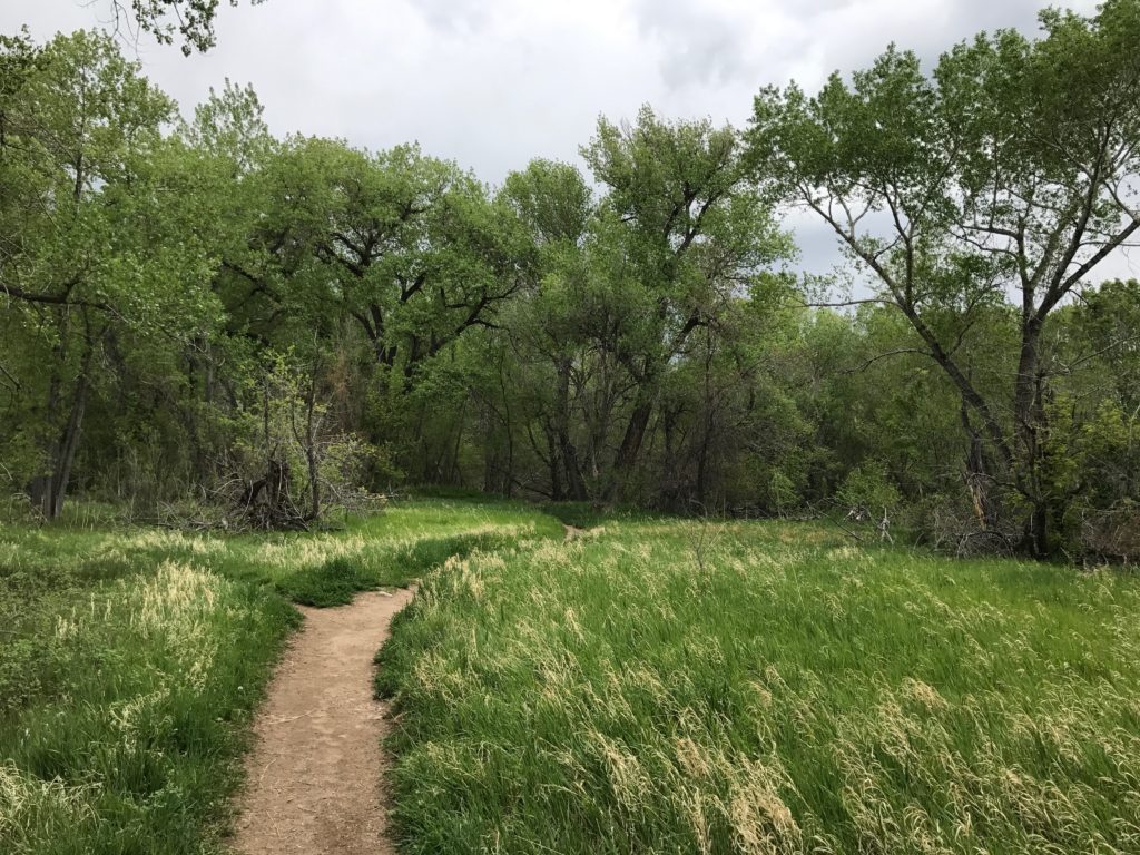 Bear Creek Lake Park Hike Review