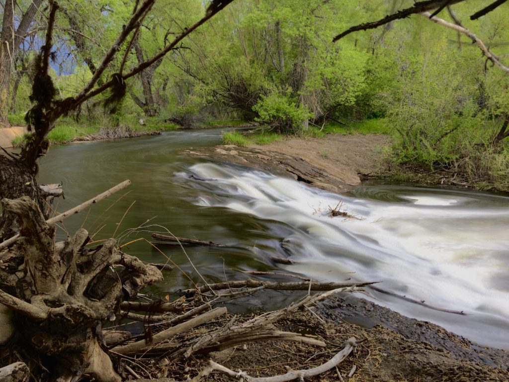 Bear Creek Lake Park Hike Review