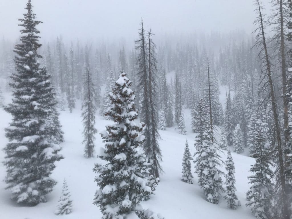 Wolf Creek Ski Area Review
