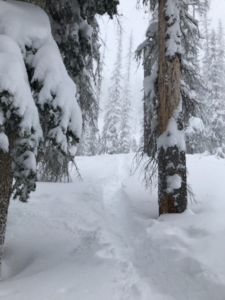 Wolf Creek Ski Area Review