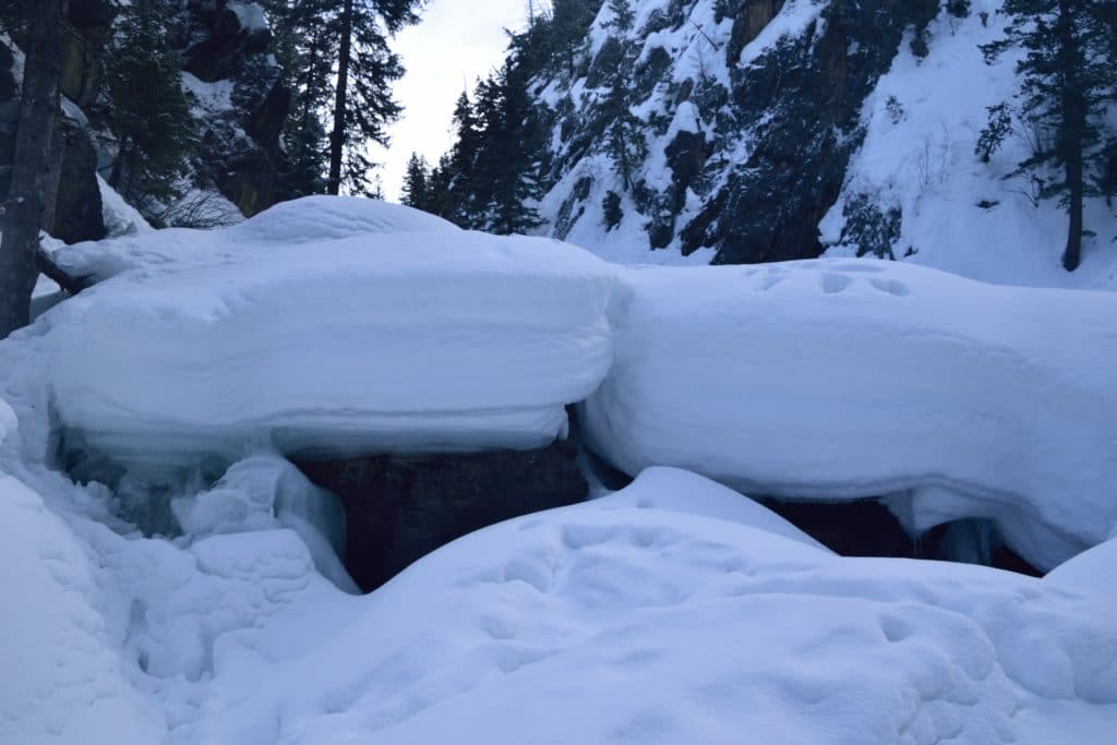 Fish Creek Falls Hike Review & Information