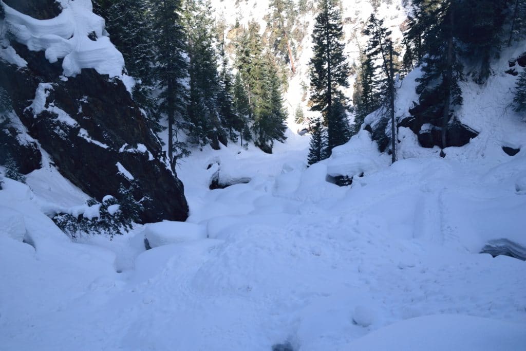 Fish Creek Falls Hike Review & Information