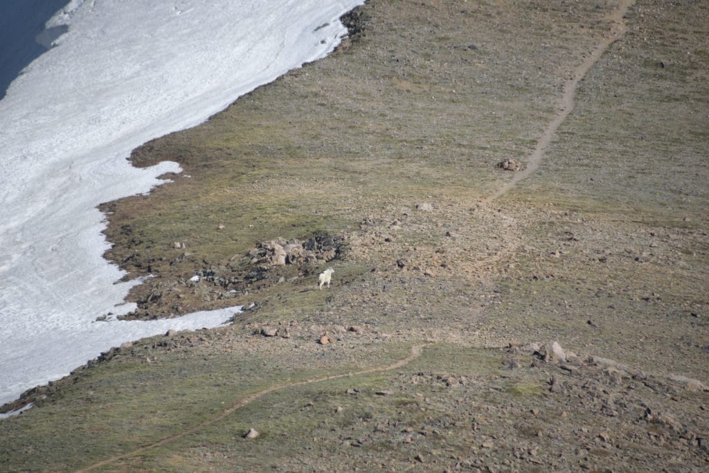 Mt Sniktau Colorado Hike Information & Review