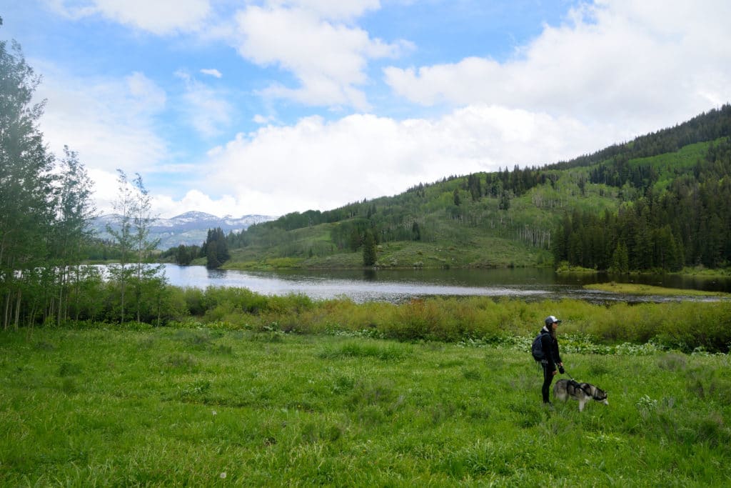 Lower Cataract Lake Colorado Hike Information & Review