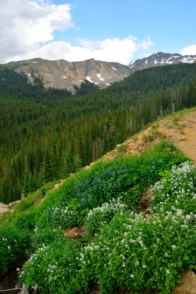 Hagerman Tunnel Hike Information & Review