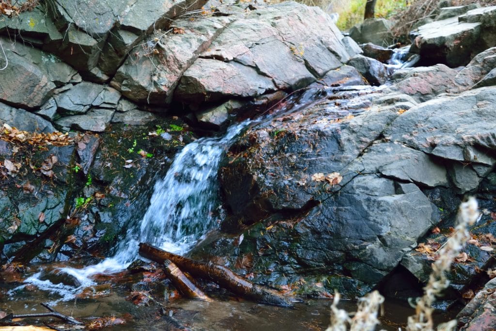 Apex Park Review