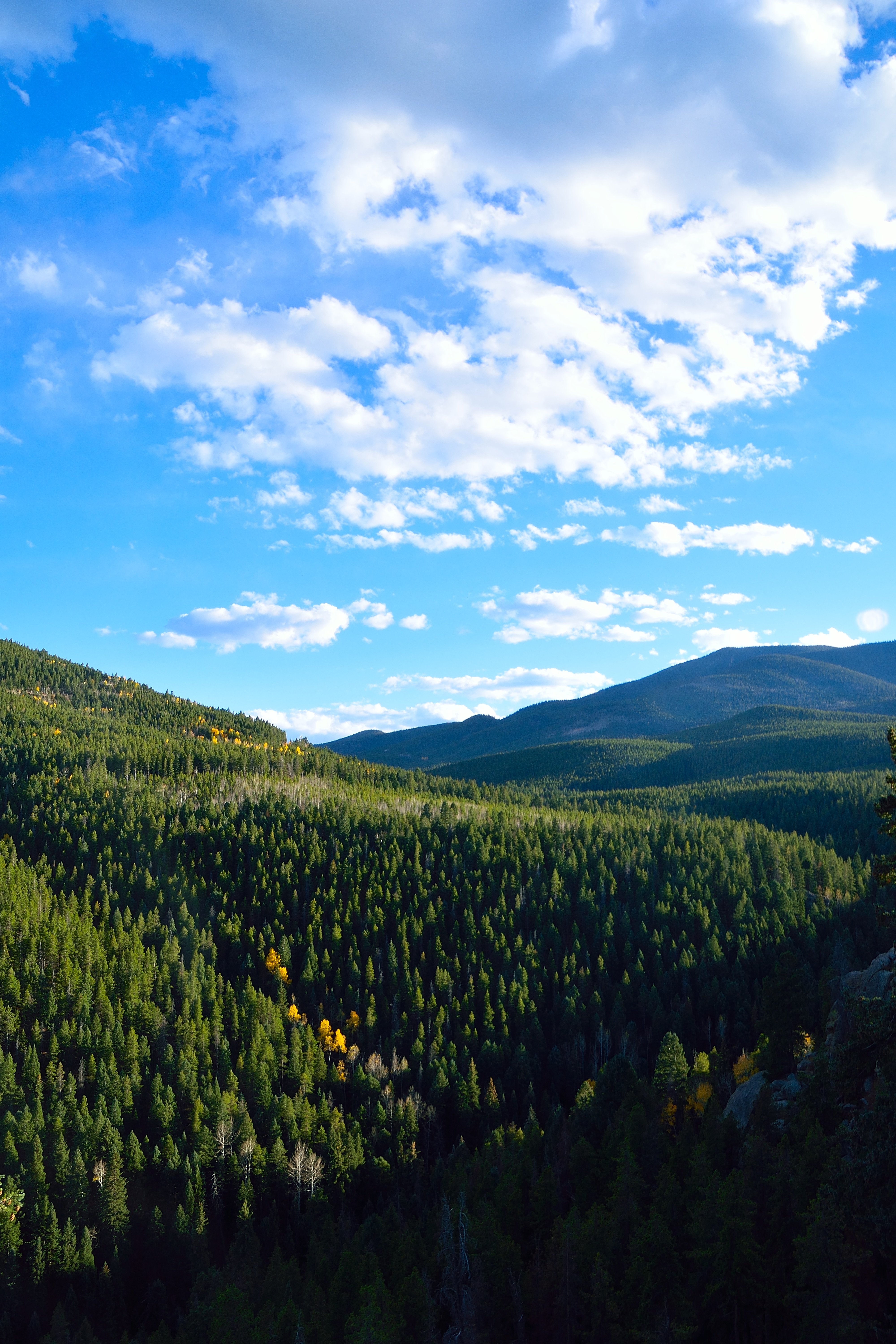 Maxwell Falls Colorado Hike Guide - Virtual Sherpa