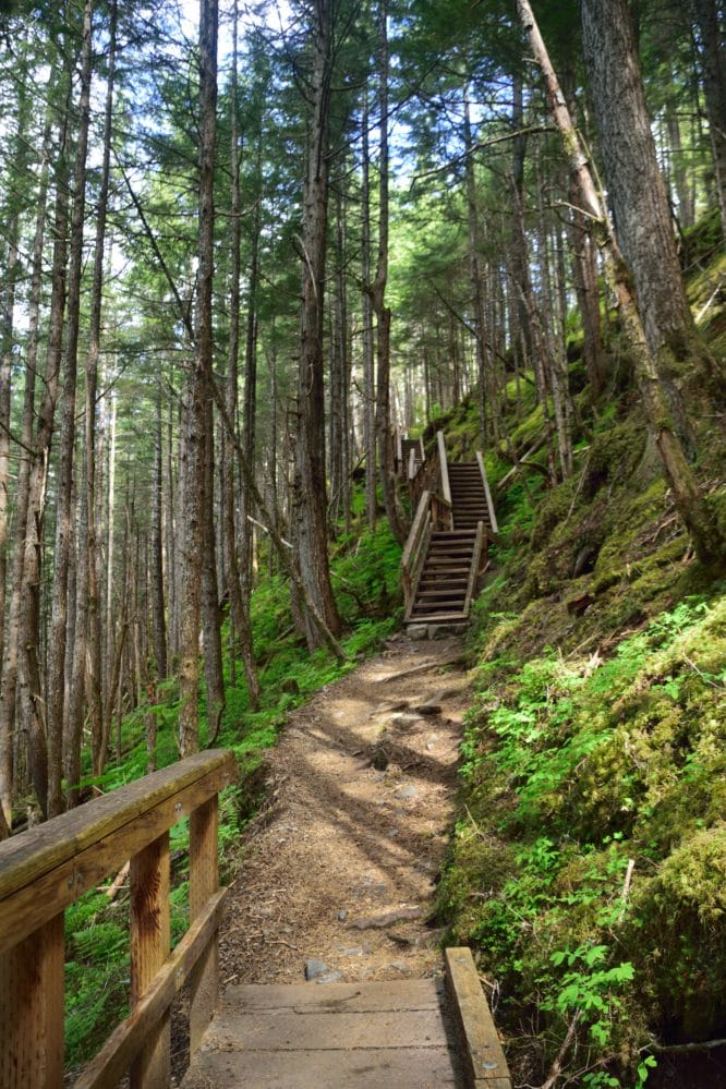 East Glacier Loop Trail - Mendenhall Lake