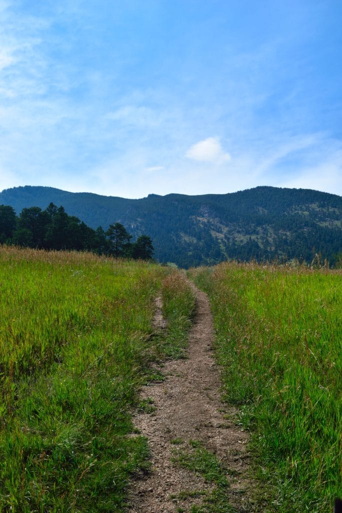 Bergen Peak Elk Meadows Park Hike Pictures