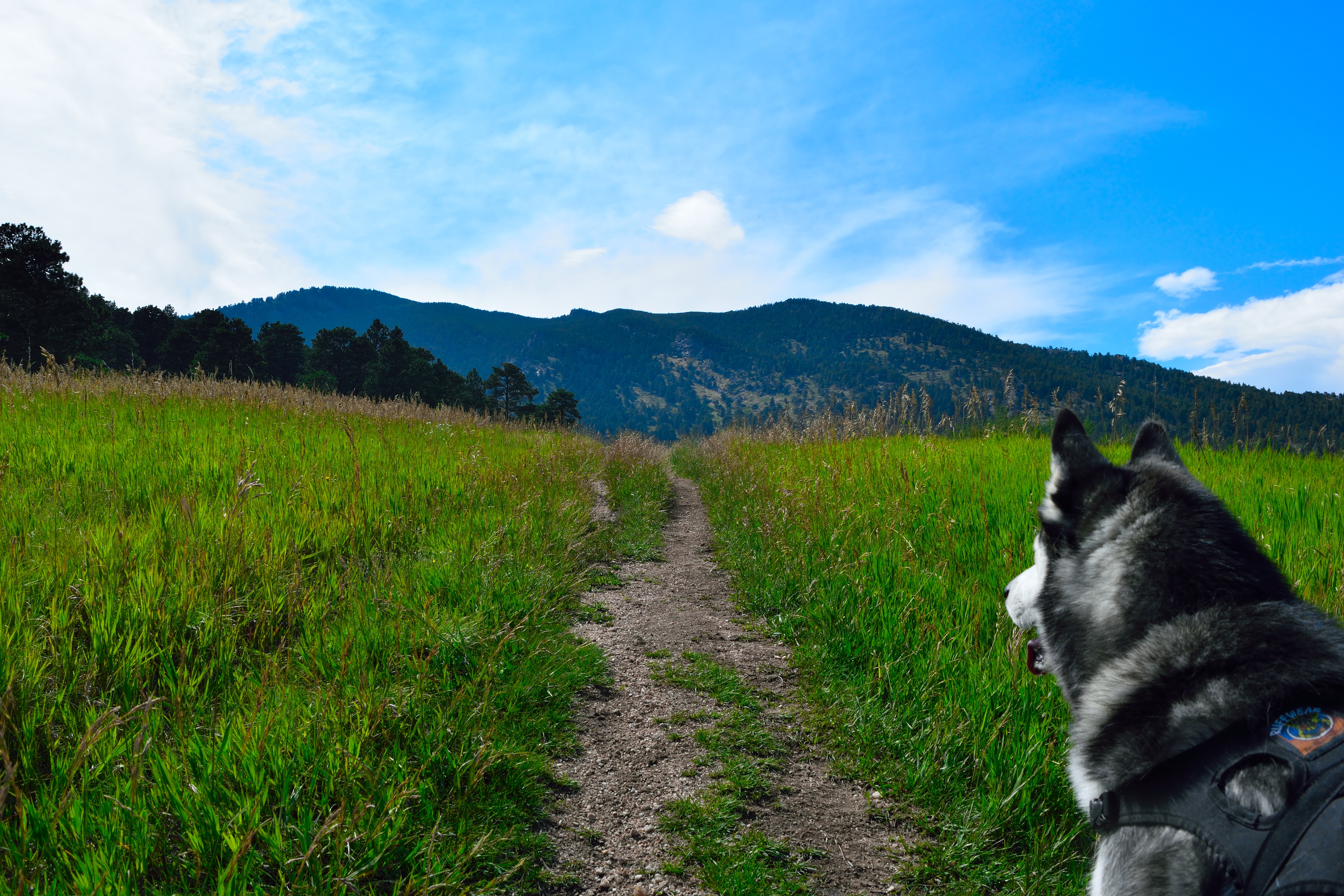 Bergen Peak Hike Review