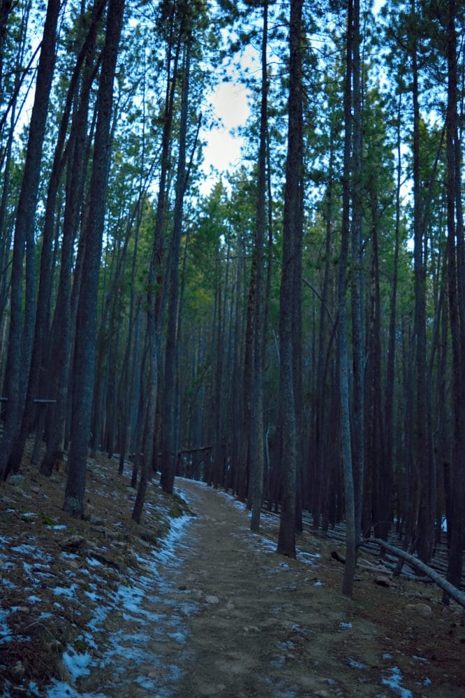 Flying J Ranch Park Hike