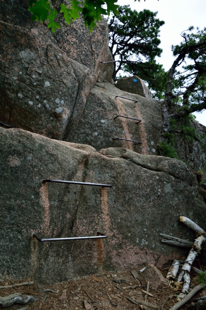 Beehive Trail Acadia National Park Hike Review