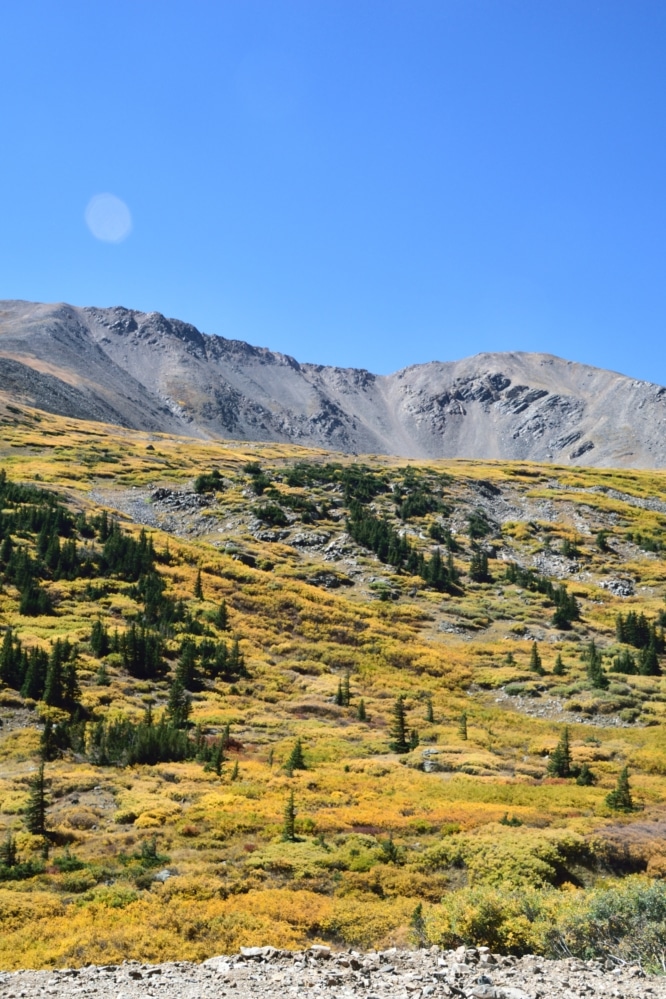 Mt Buckskin Colorado 13er Hike