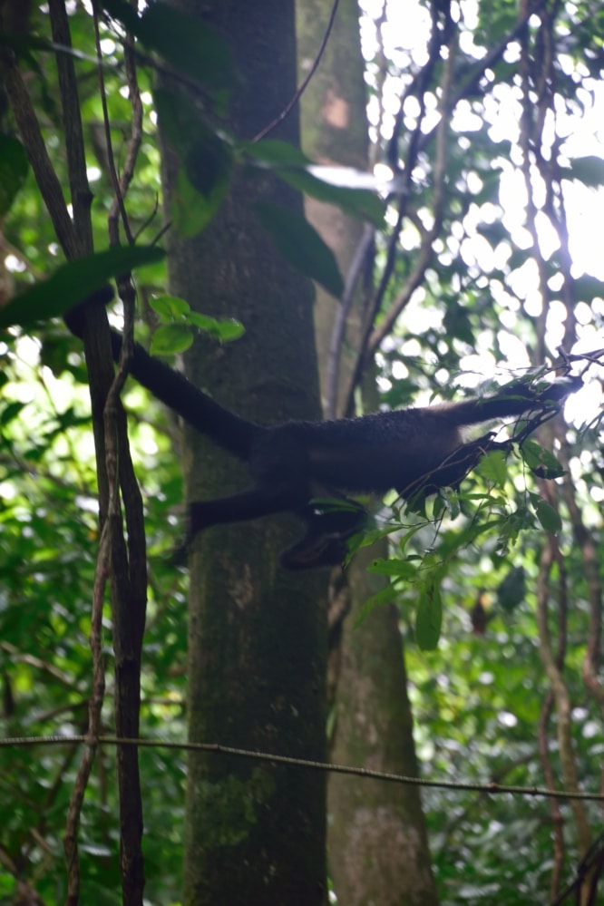 Manuel Antonio National Park Costa Rica Hiking