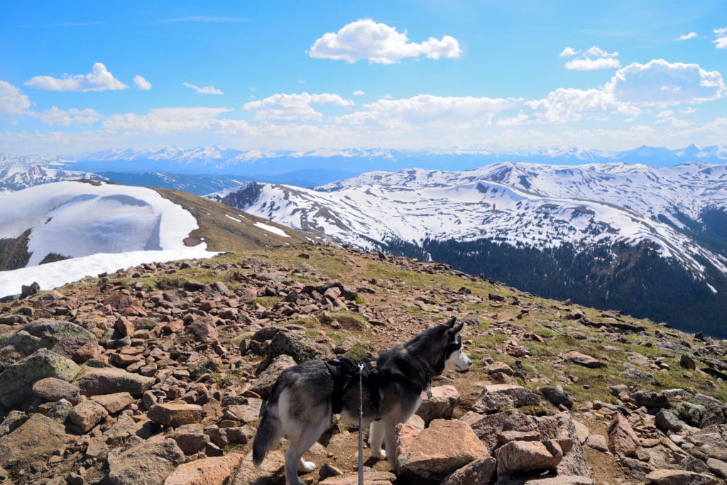 Mt Sniktau Colorado Hike Information & Review