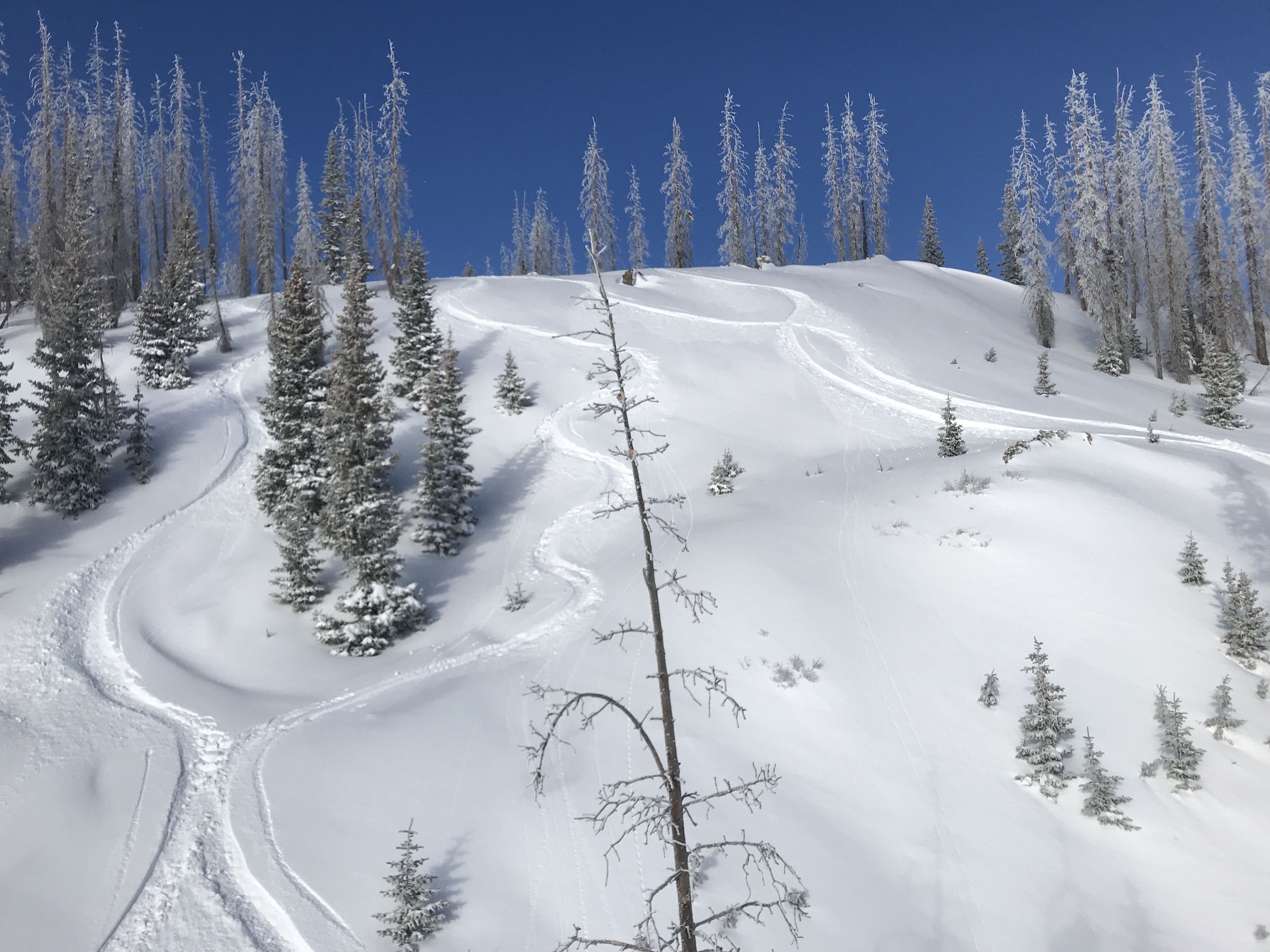 Wolf Creek Ski Area Review - Virtual Sherpa