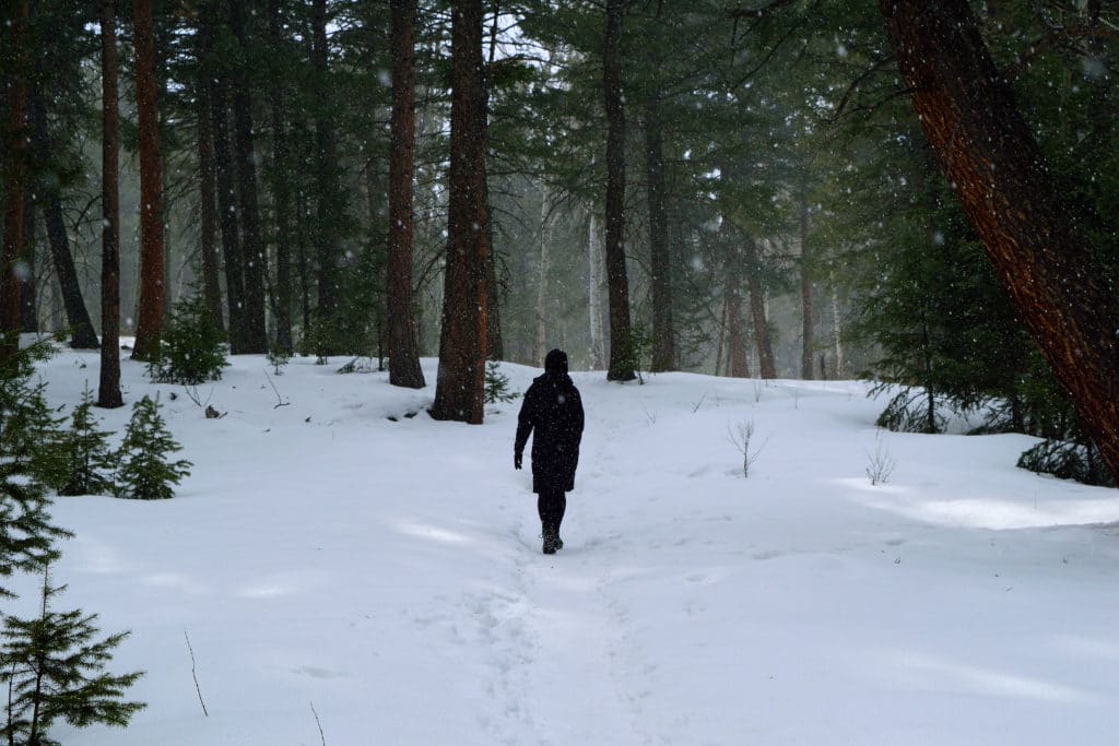 Berrian Mountain Colorado Hike Information & Review