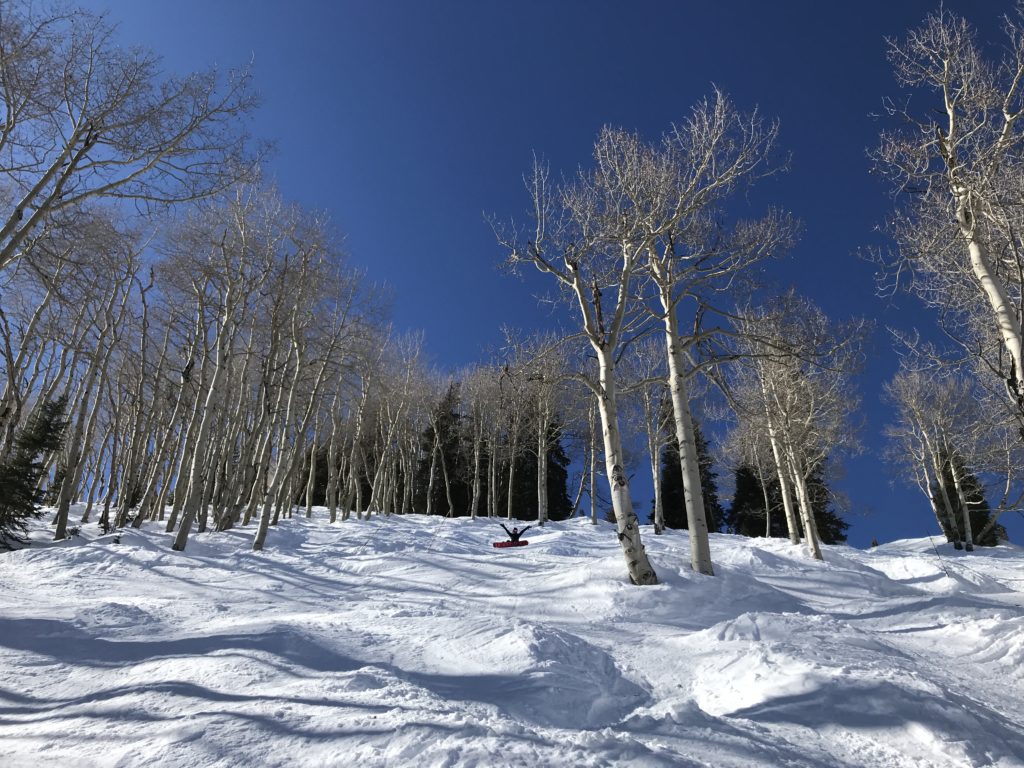 Aspen Ski Resort Information & Review