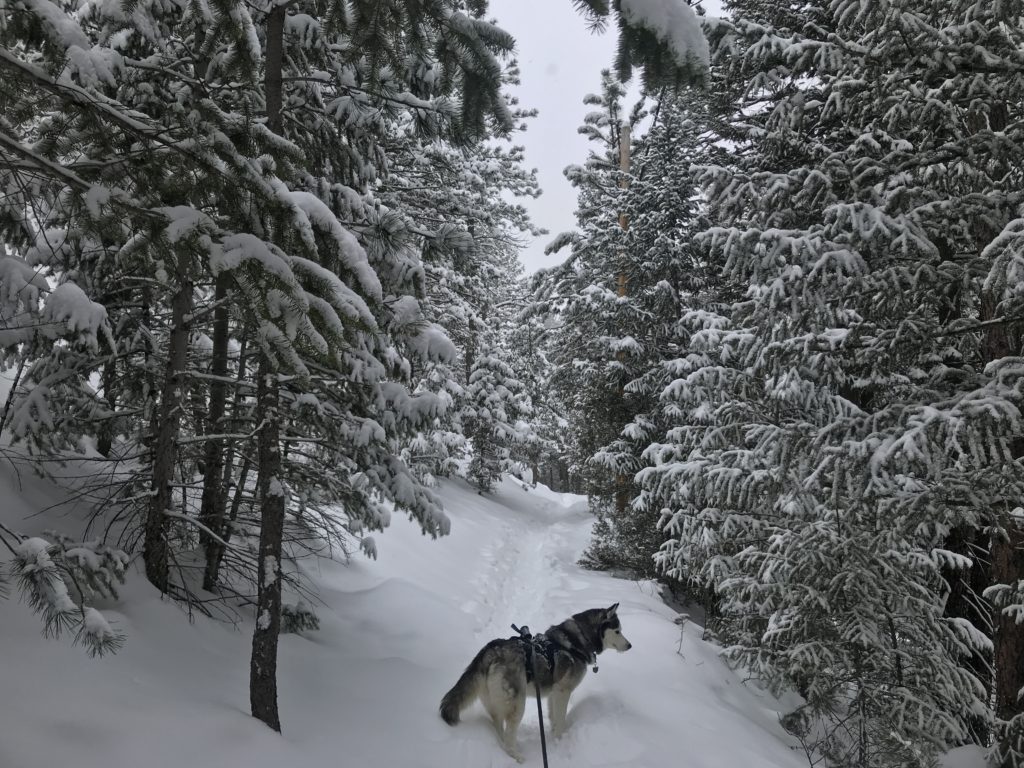 Green Mountain Boulder Winter Hike Information & Review