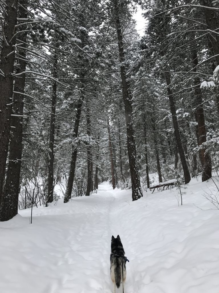 Green Mountain Boulder Winter Hike Information & Review
