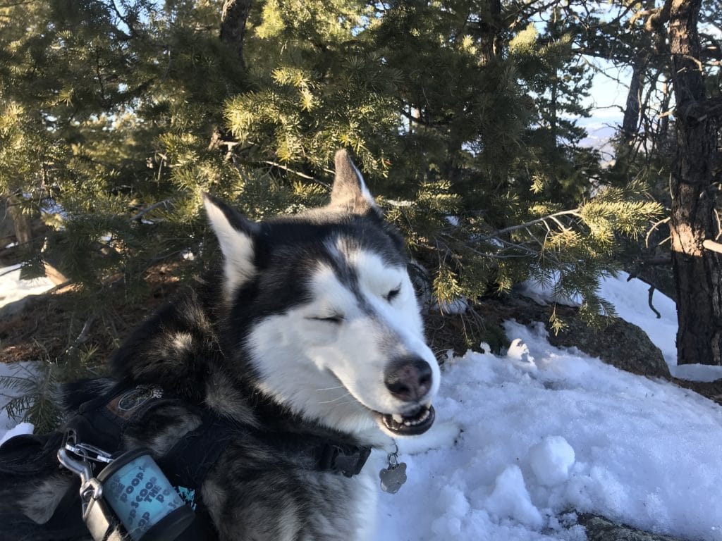 Berrian Mountain Colorado Hike Information & Review