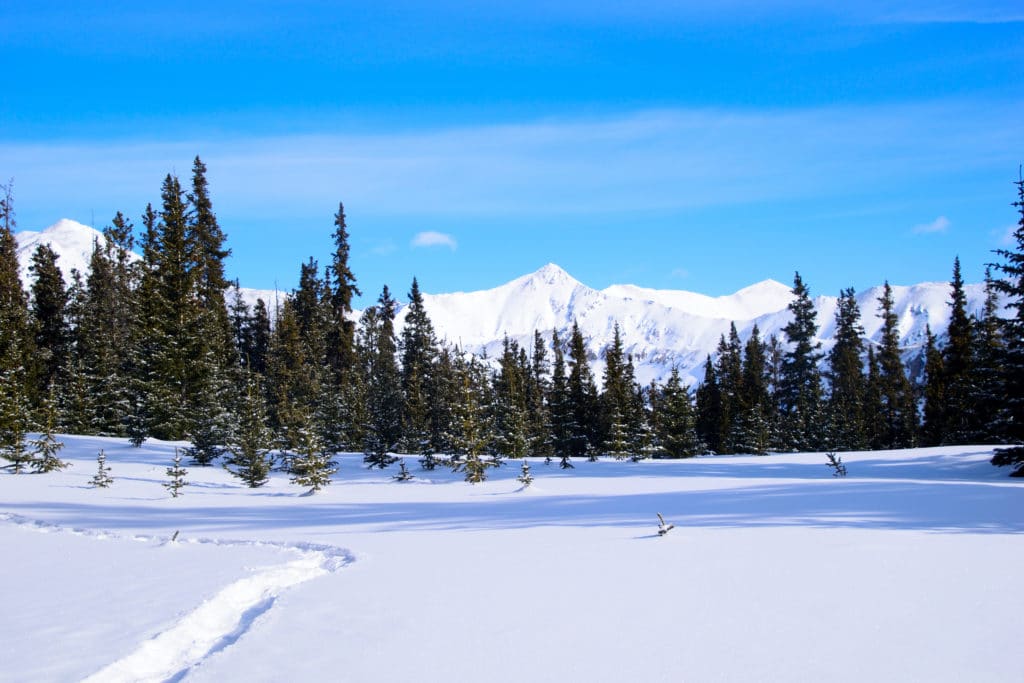 La Plata Peak Winter 14er Hike 