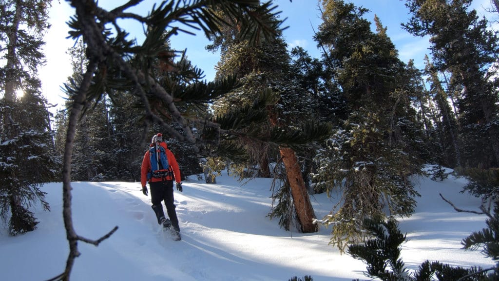 La Plata Peak Winter 14er Hike 