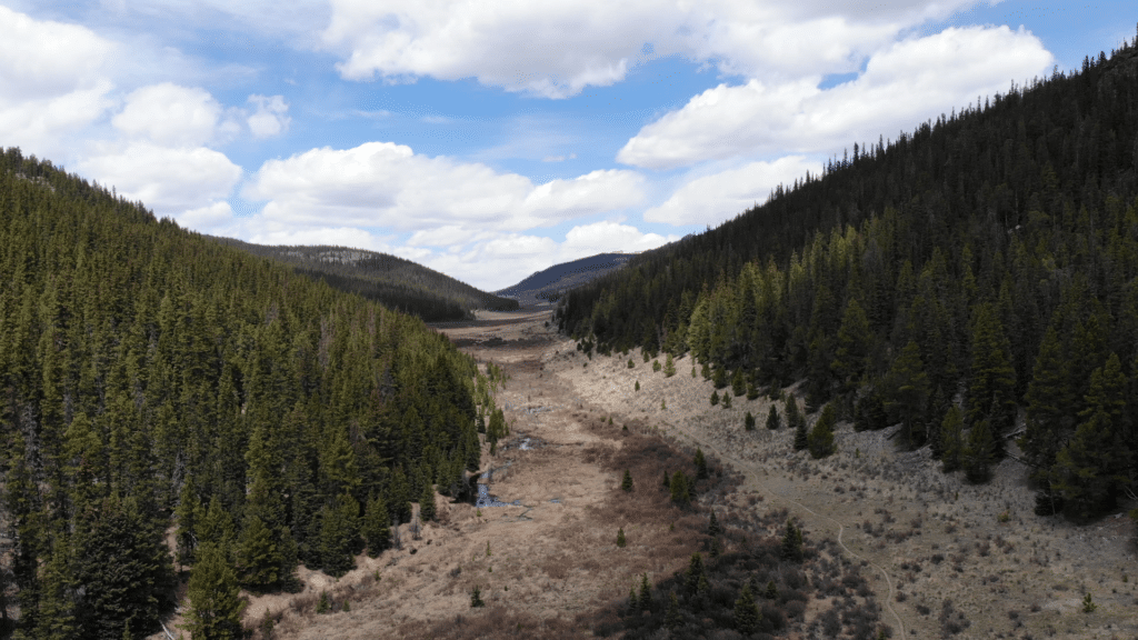 Colorado Trail Segment 4 Hike Information & Review