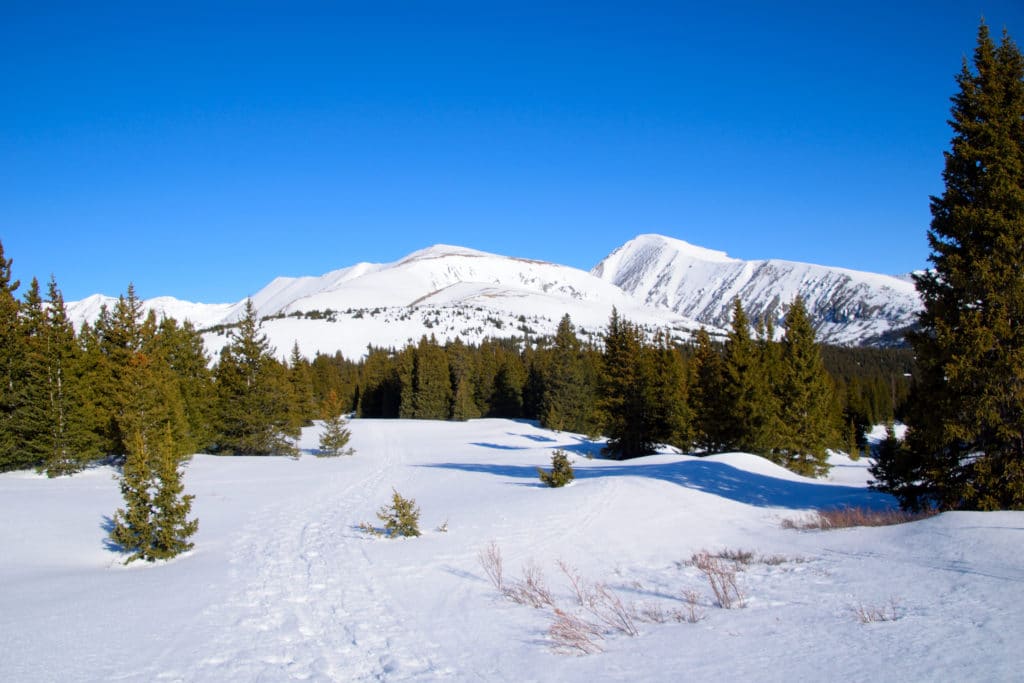 Mt Silverheels 13er Hike Information & Review