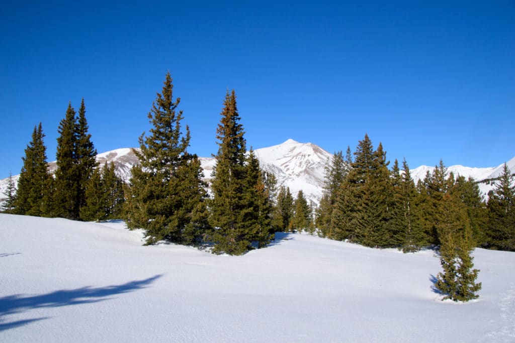 Mt Silverheels 13er Hike Information & Review