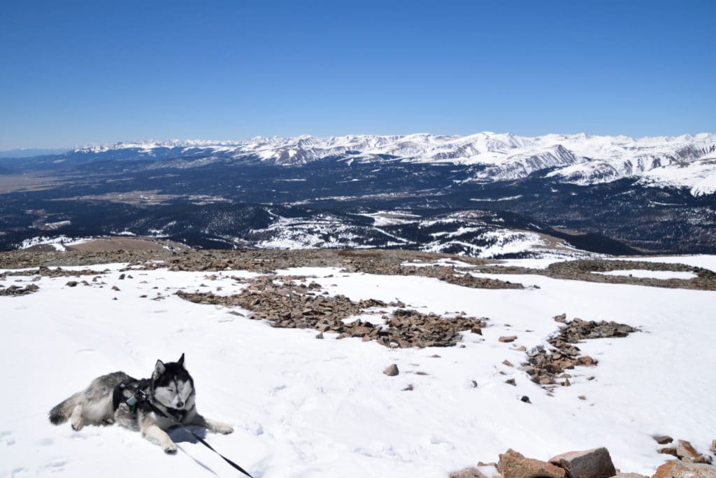 Mt Silverheels 13er Hike Information & Review