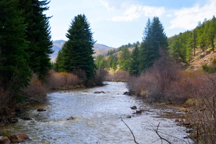 Pine Valley Ranch Park Hike Information & Review