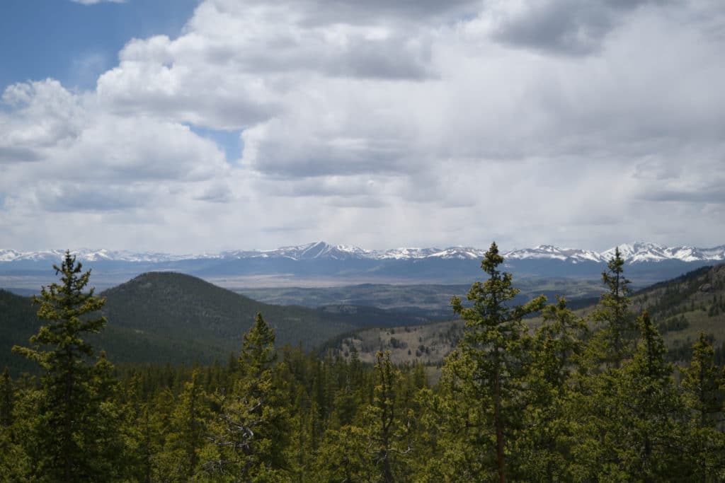 Colorado Trail Segment 4 Hike Information & Review