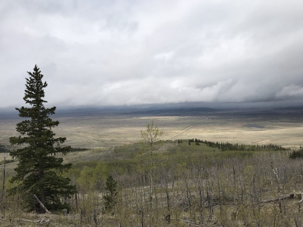 Colorado Trail Segment 5 Hike Information & Review