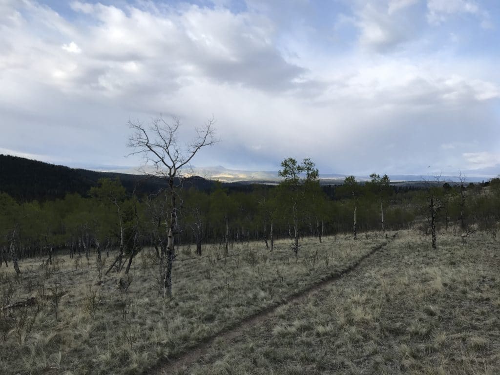 Colorado Trail Segment 5 Hike Information & Review